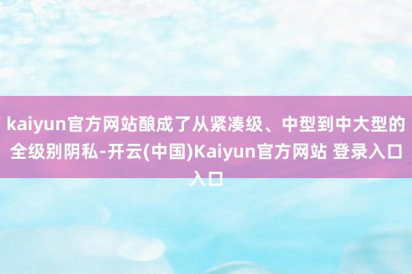 kaiyun官方网站酿成了从紧凑级、中型到中大型的全级别阴私-开云(中国)Kaiyun官方网站 登录入口